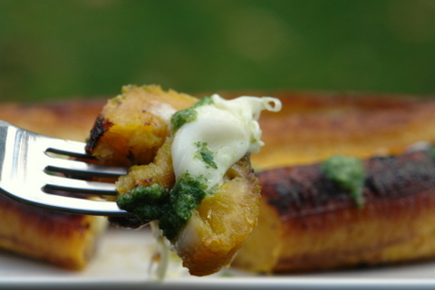 Baked ripe plantains with cheese