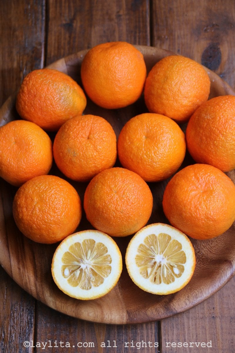 A laranja-amarga também é conhecida como laranja-da-china ou laranja de sevilla