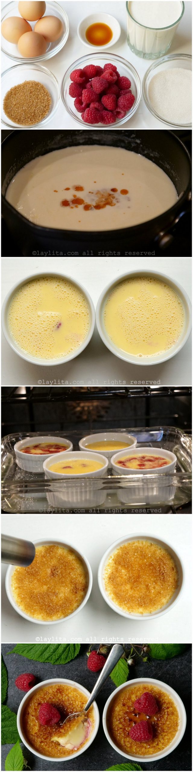 Fotos do passo a passo da preparação do crème brûlée de framboesa