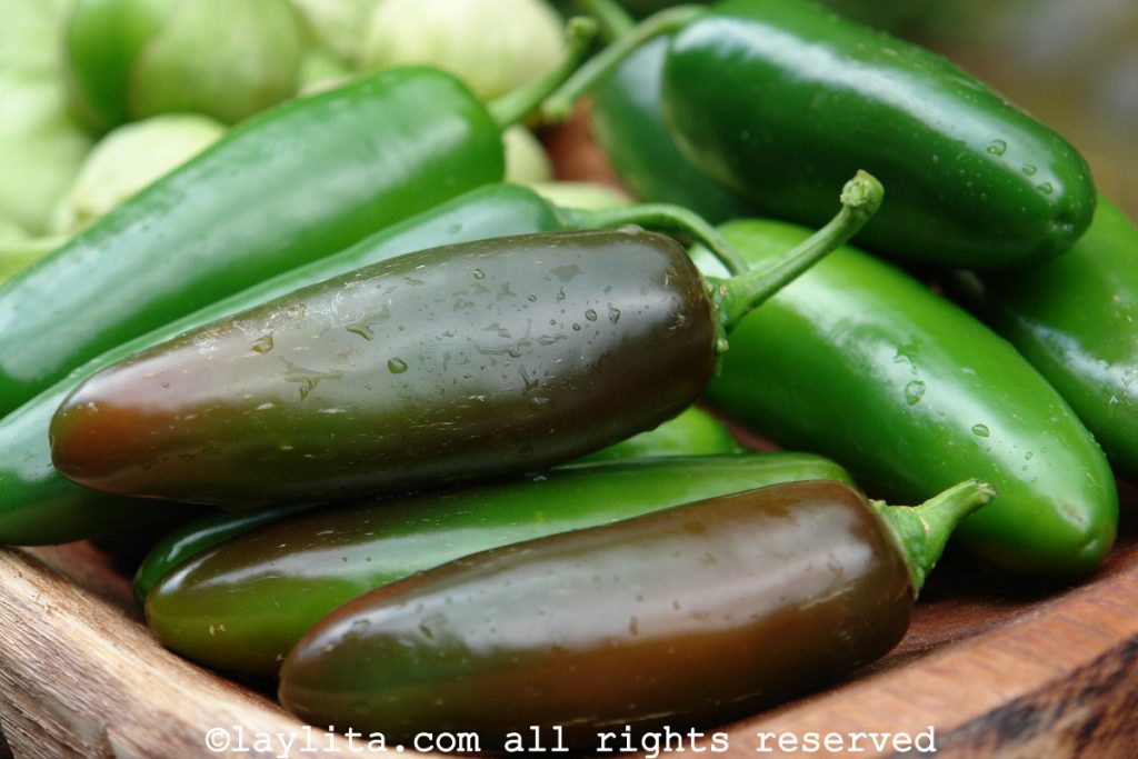 Chiles jalapeños mexicanos