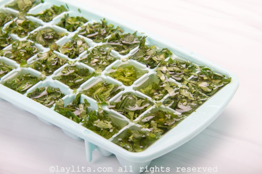 Como conservar el cilantro en cubos congelados de aceite