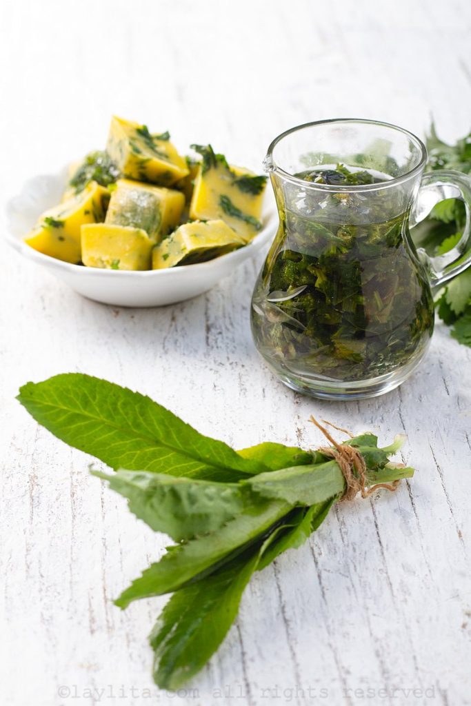 Cilantro, culantro, chillangua, coriandro