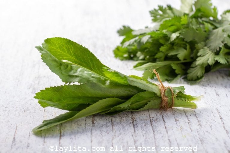 Cilantro, Culantro, Coriandro, Chillangua Recetas de Cocina