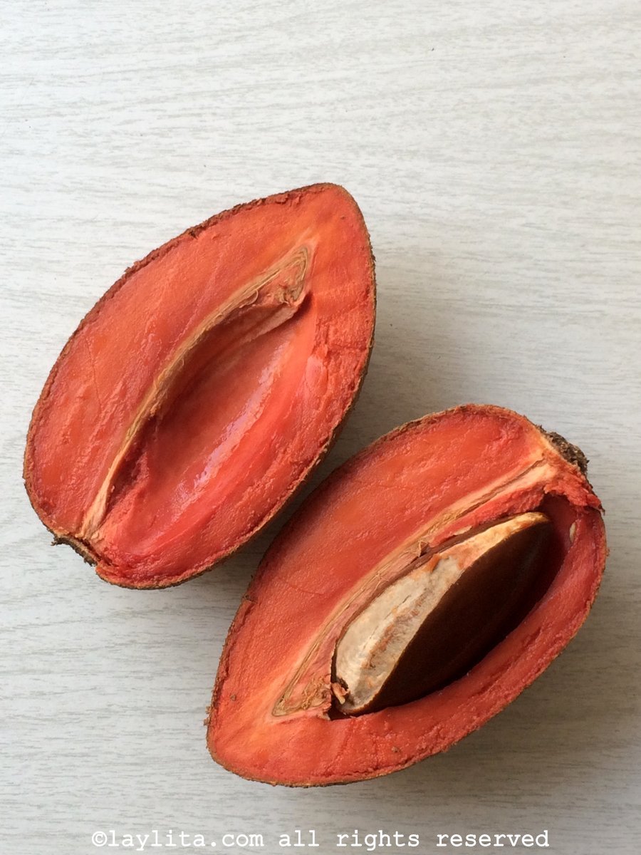 Mamey o Zapote Variedades y usos Recetas de Cocina