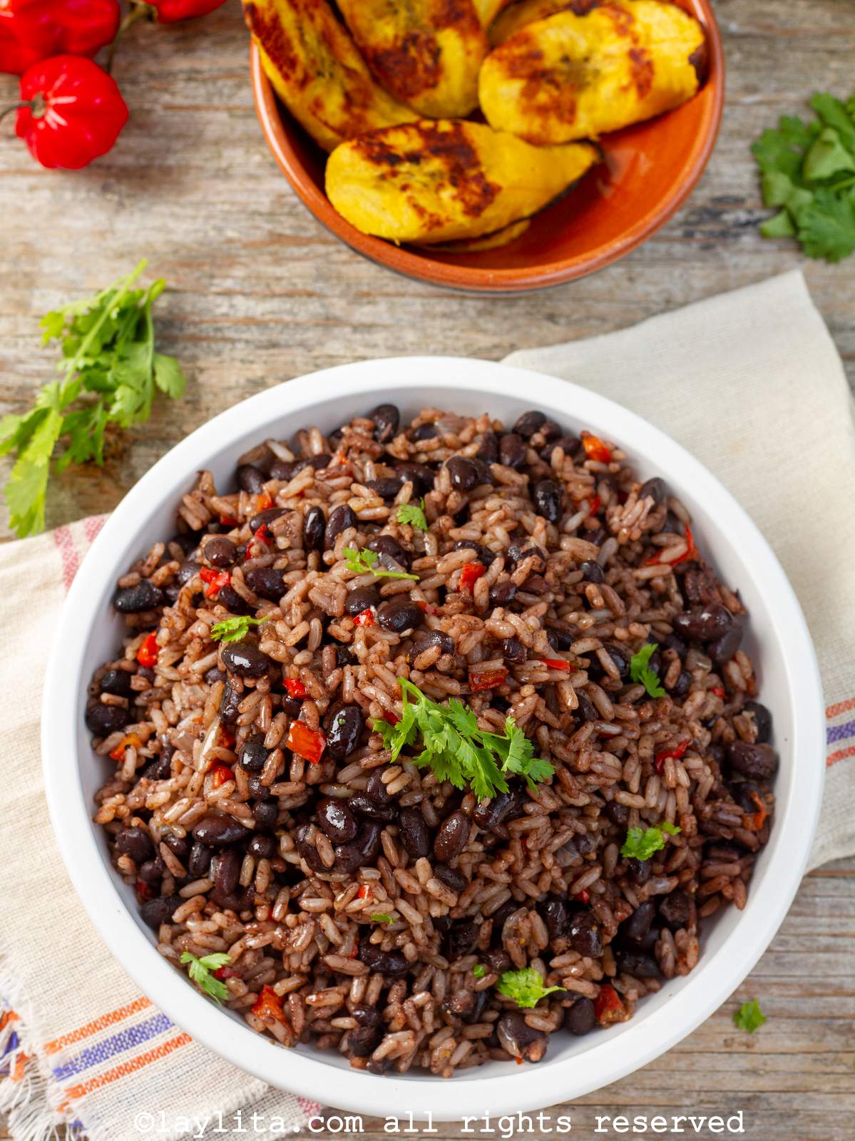 Un plato blanco lleno de gallo pinto costarricense o arroz con frijoles