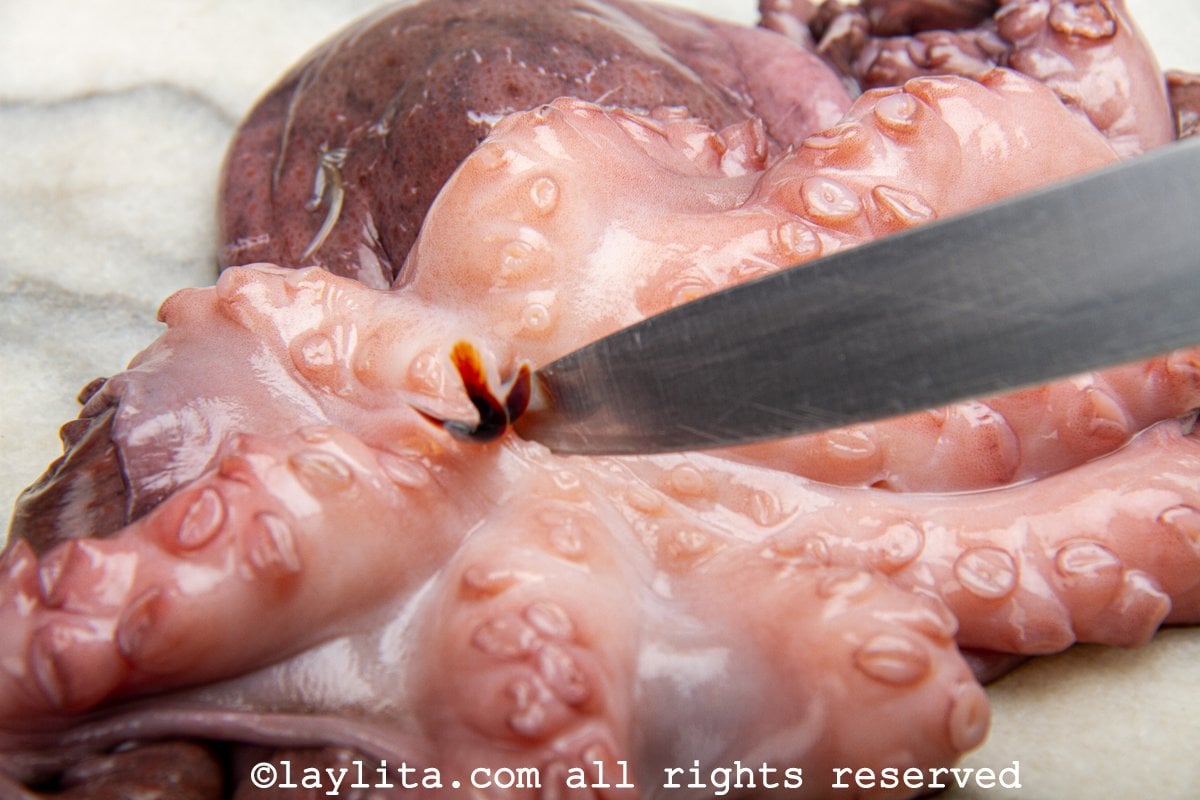 Pulpo macerado en proceso