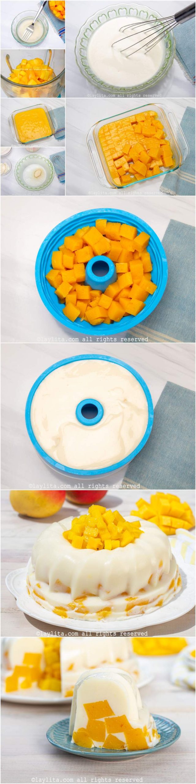 Preparación paso a paso de la gelatina mosaico de mango