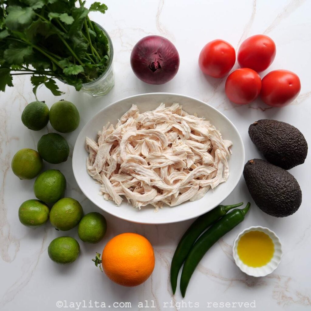Ingredientes del ceviche de pollo ecuatoriano