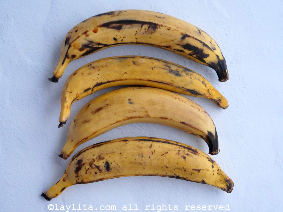 Cuatro plátanos maduros machos en una superficie blanca