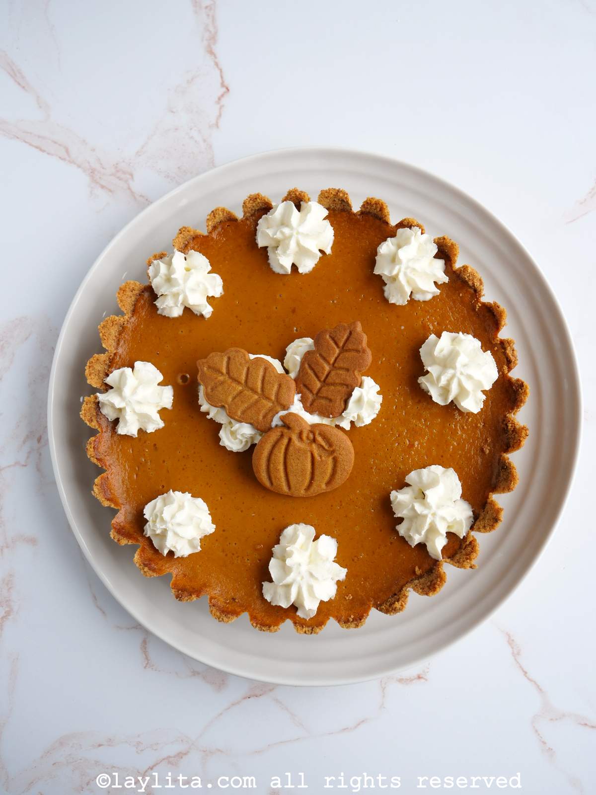 Un plato blanco pay de calabaza con base de galletas y decorado con crema batida y galletas