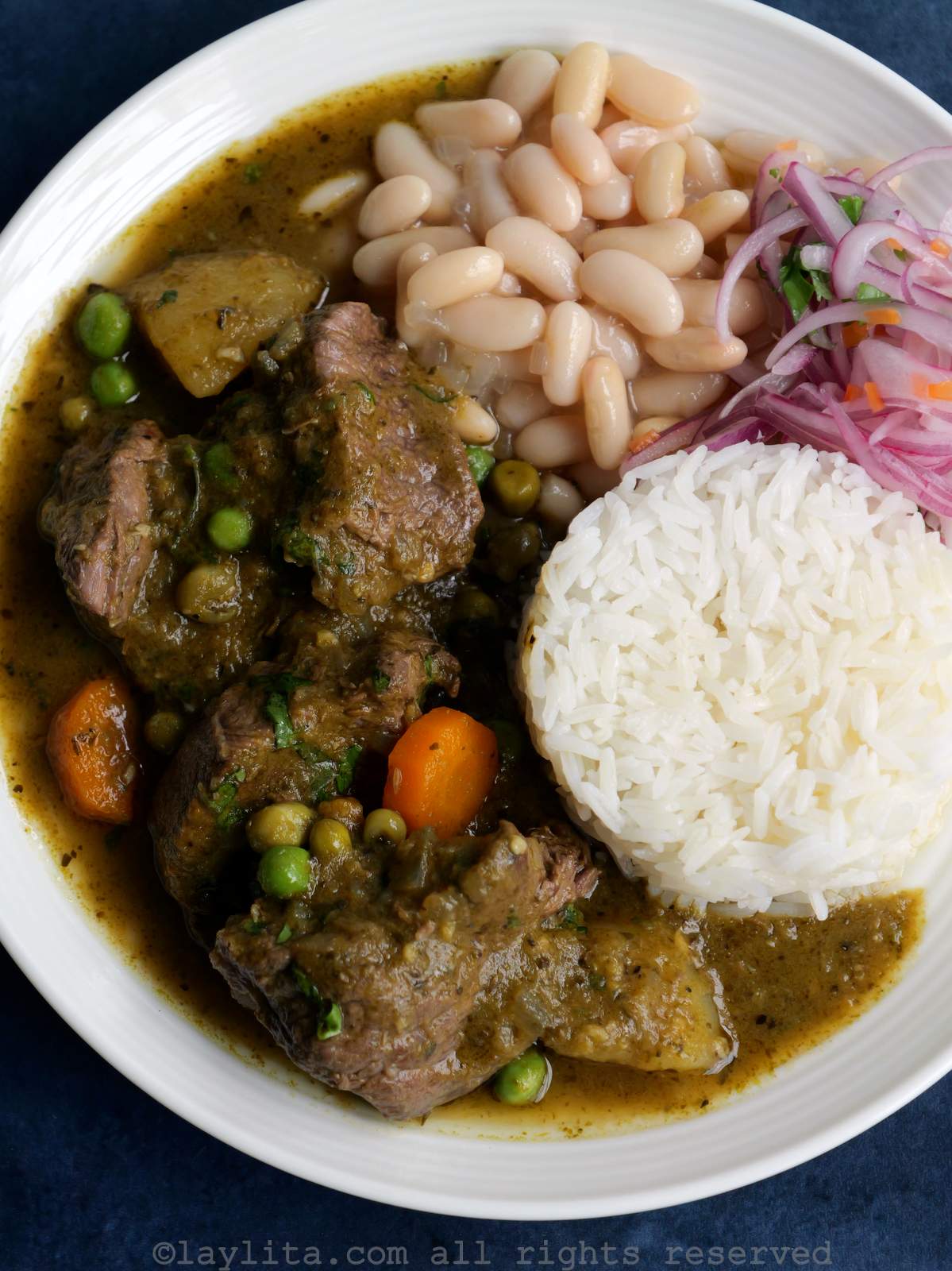 Seco de carne con papas y zanahorias en un plato blanco, acompañado de frejoles, arroz y salsa de cebolla