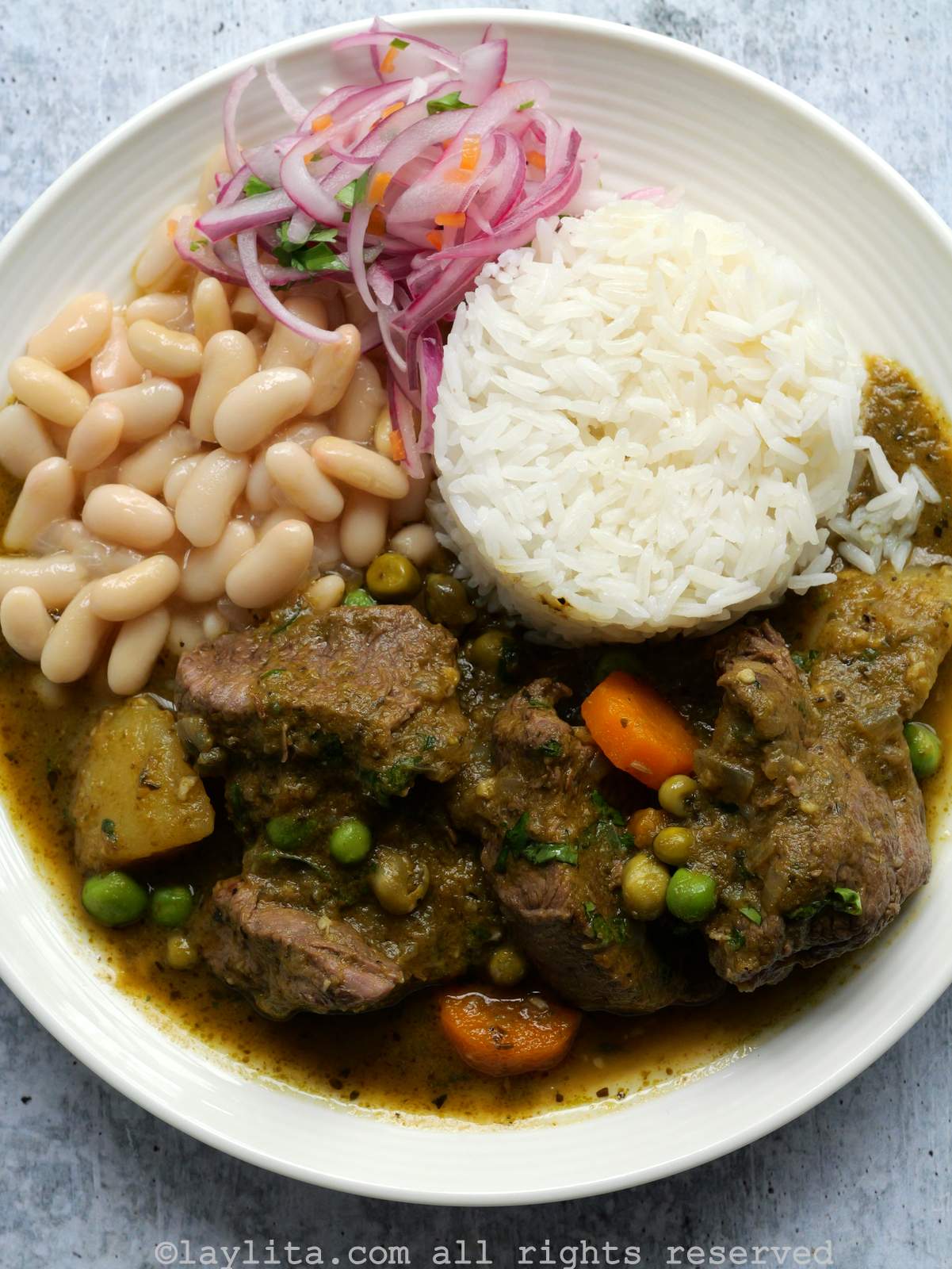 Un plato servido con guiso de carne con papas y zanahorias, frejoles, salsa criolla y arroz