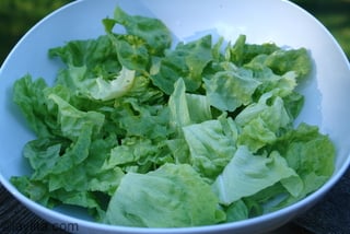 Hojas de lechuga para la ensalada