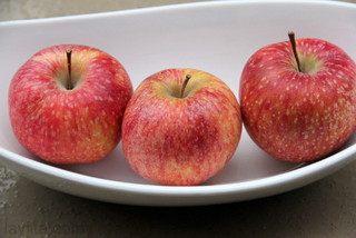 Utiliser des pommes fraîches. Si vous laissez la peau prenez les de couleur vive.