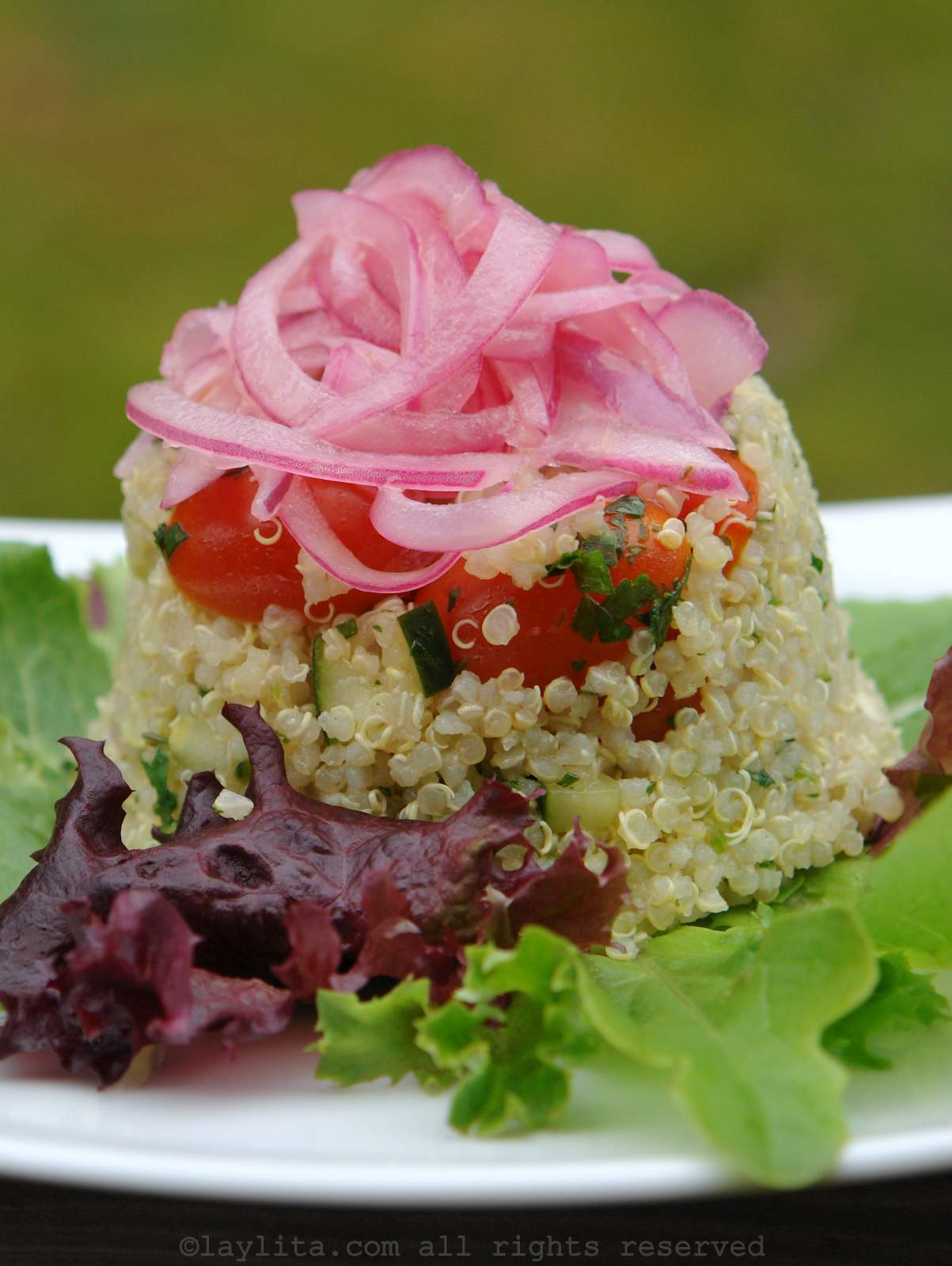 Salade de quinoa aux oignons marinés