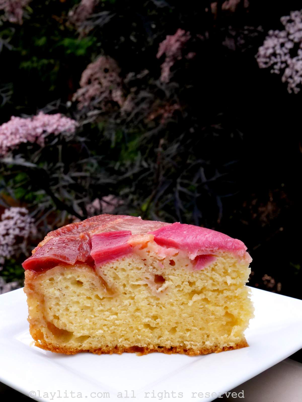 Une tranche de gâteau renversé à la rhubarbe sur une assiette blanche