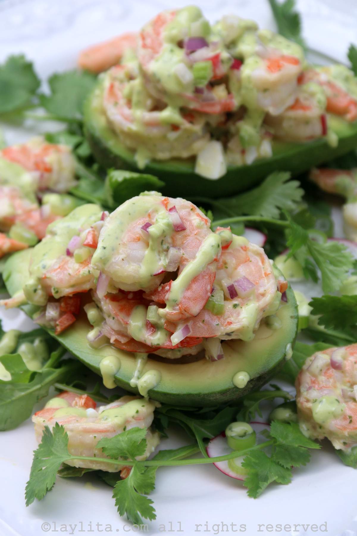 Overhead shot of two avocado halves filled with shrimp salad on a white plate