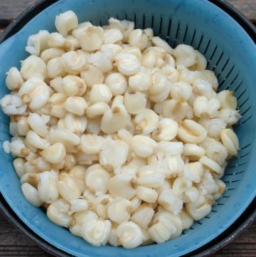 Homemade hominy corn or mote blanco