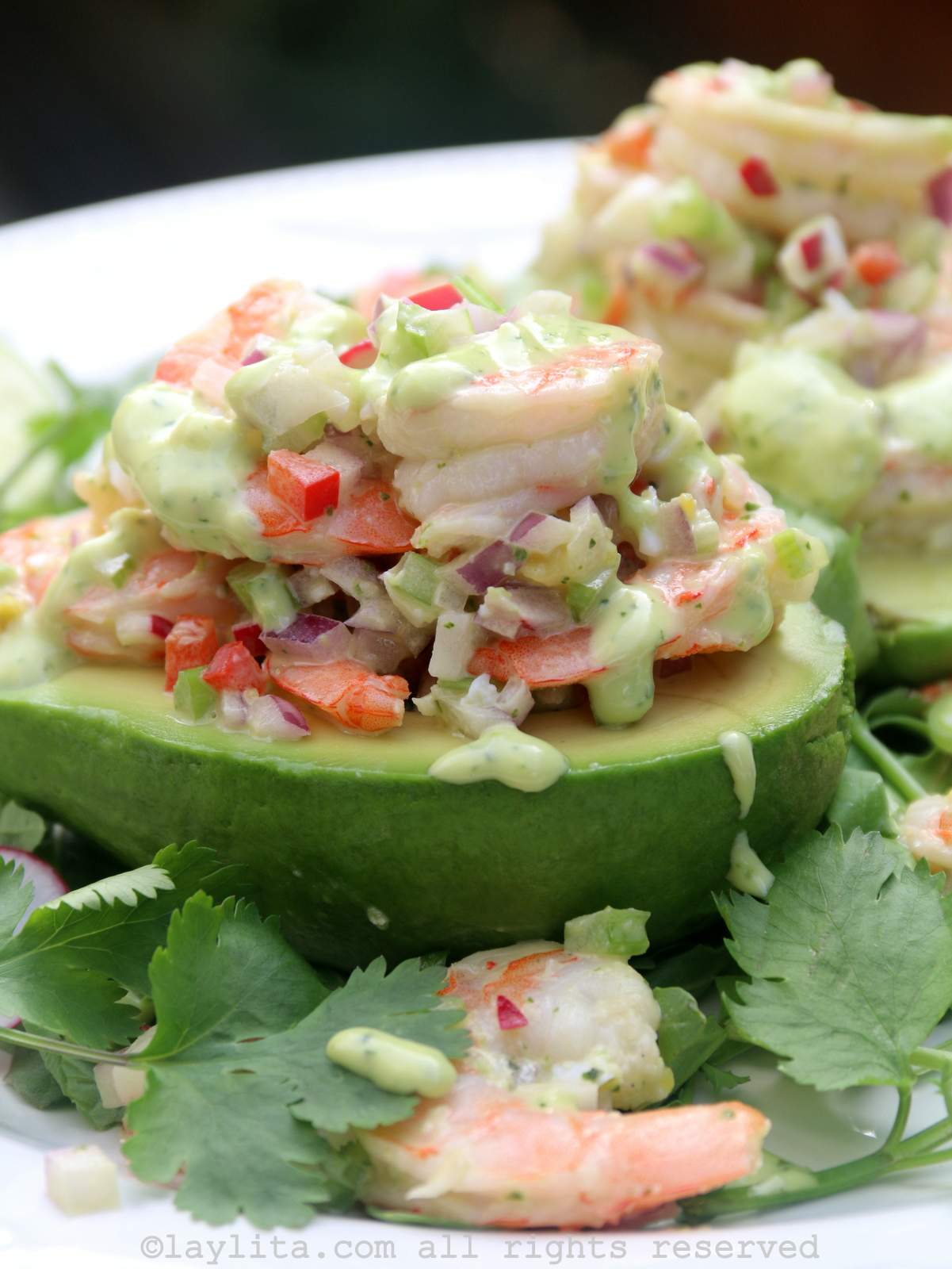 An avocado half filled with shrimp salad and drizzle with cilantro aioli on a white plate with cillantro leaves and shrimp