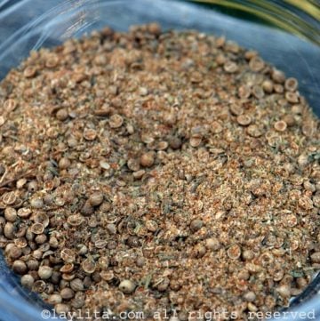 Spicy coriander seasoning mix recipe