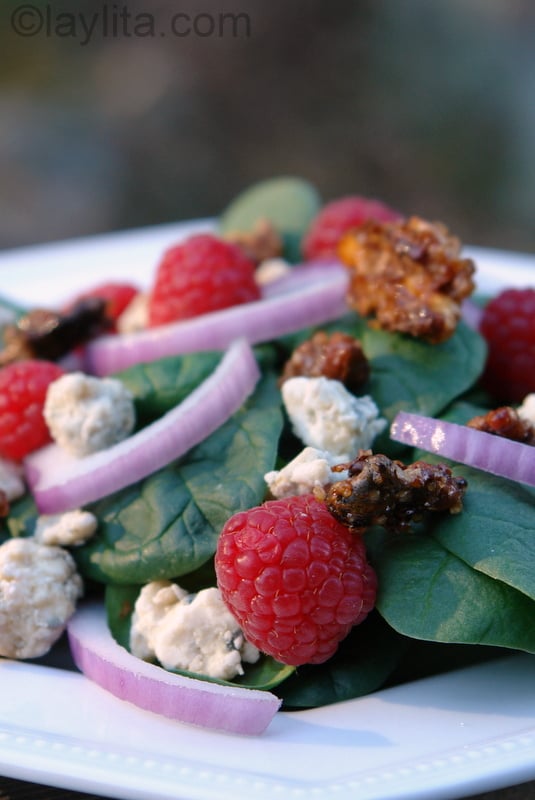 Spinach salad with raspberries, gorgonzola, red onions, and walnuts