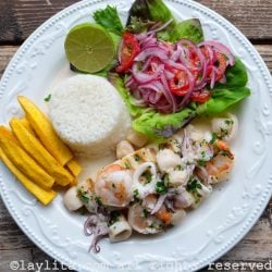 Grilled fish with seafood sauce
