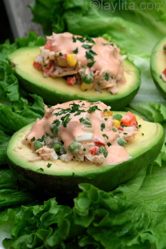 Avocado with tuna salad
