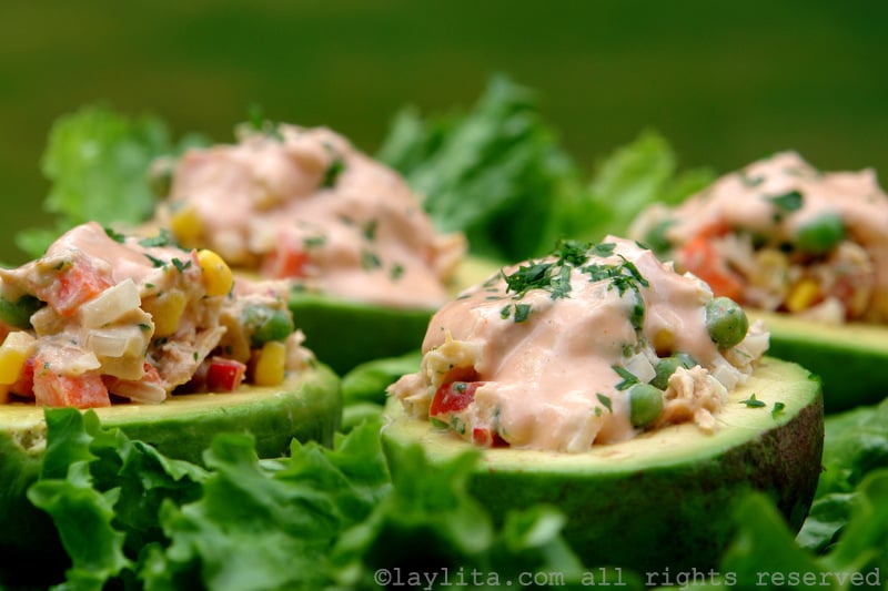 Avocados stuffed with tuna salad