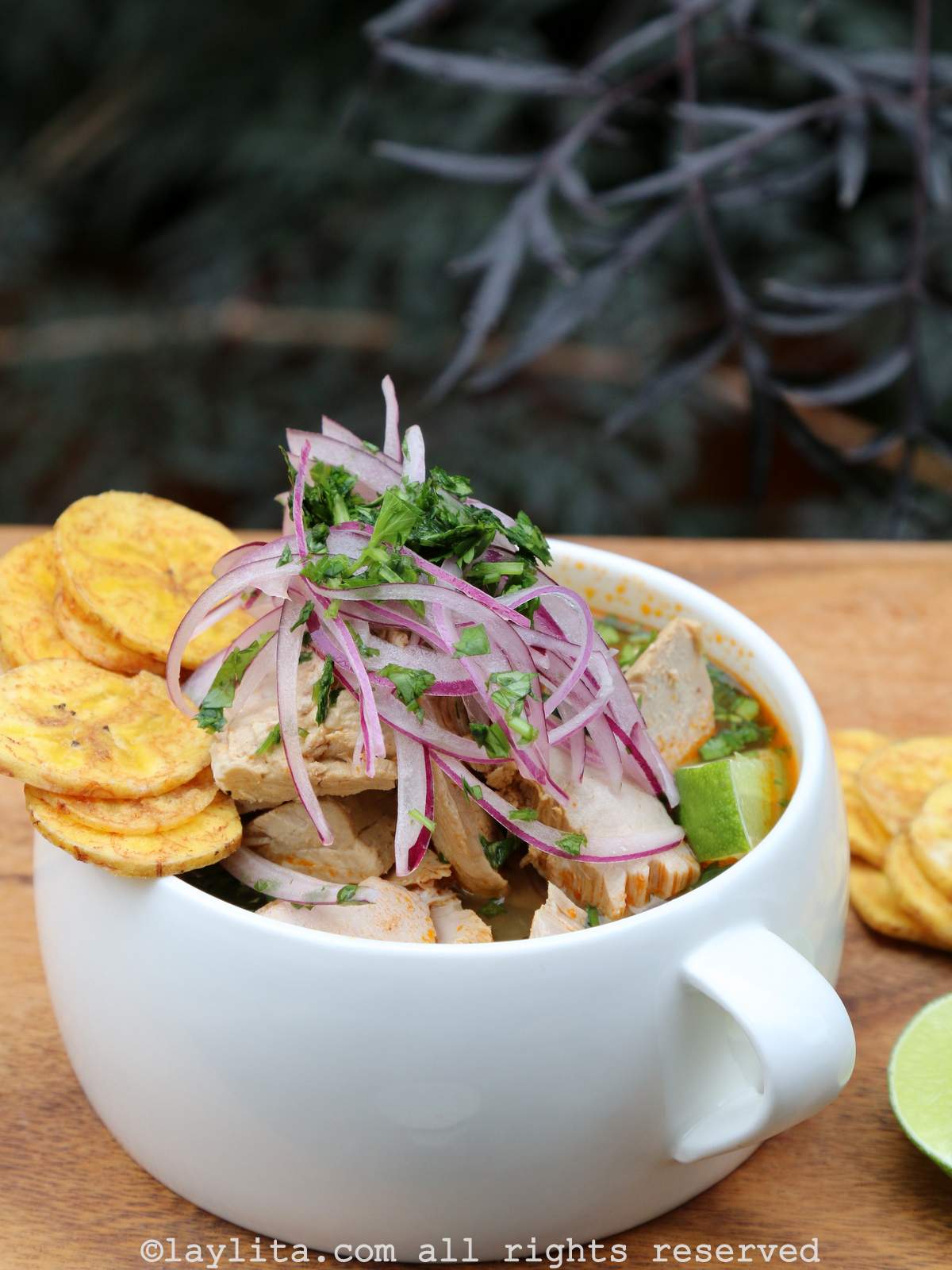 Ecuadorian encebollado soup garnished with chifle plantain chips