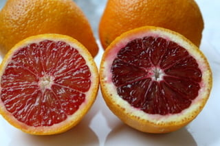 Oranges sanguines pour le sorbet
