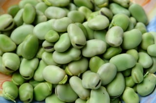Fava beans