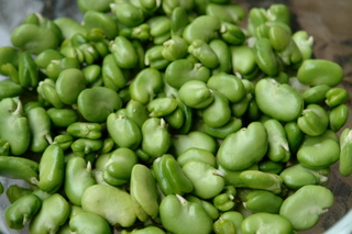 Peeled fava beans