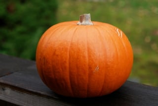 Pumpkin to made candied pumpkin in spiced syrup