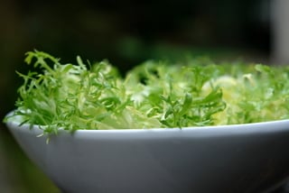 Salada de alface frisée