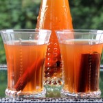 Canelazo or spiced cinnamon drink