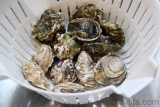 1- Fresh kumamoto and kusshi oysters