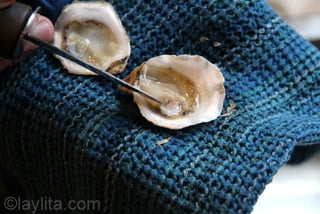 Step by step instructions with photos on how to open or shuck oysters