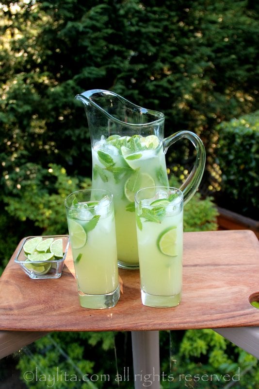 Vodka lemonade or limeade with mint
