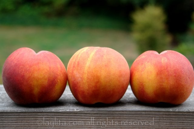 Ripe peaches for bellinis