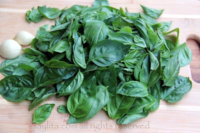 Fresh basil and garlic for basil oil