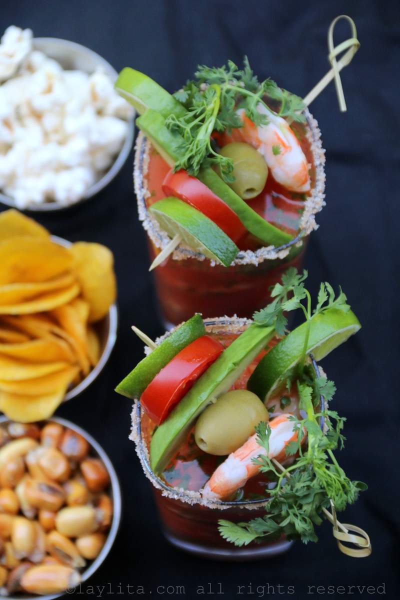 Garnished Bloody Mary or Bloody Maria cocktails