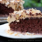 Chocolate tres leches cake recipe