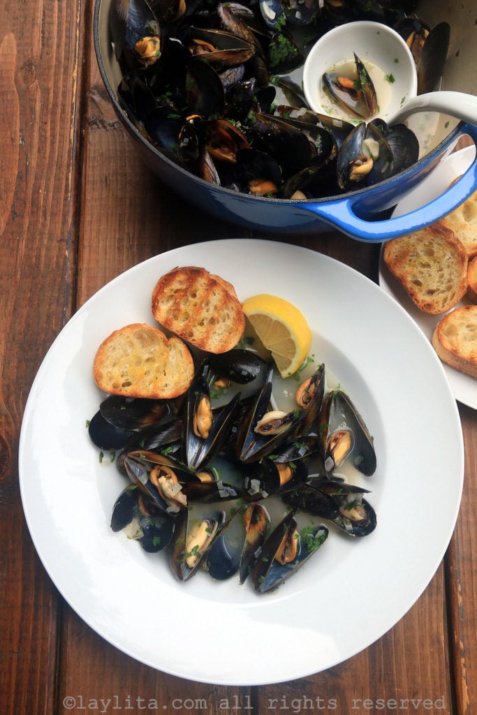 Mussels in white wine sauce {Mussells or Moules Marinière} Laylita's