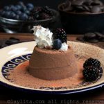 Dark chocolate panna cotta