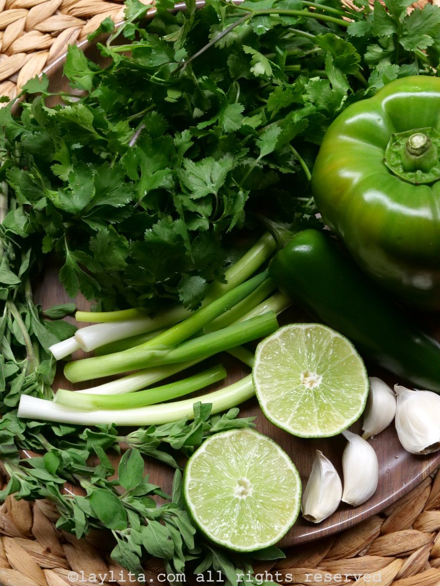 Ingredients for cilantro chimichurri
