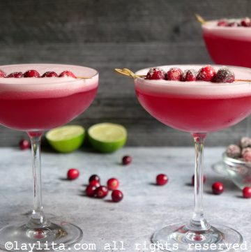 Cranberry pisco sour cocktail recipe
