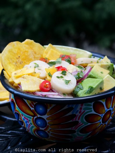 Ceviche with hearts of palm and avocado