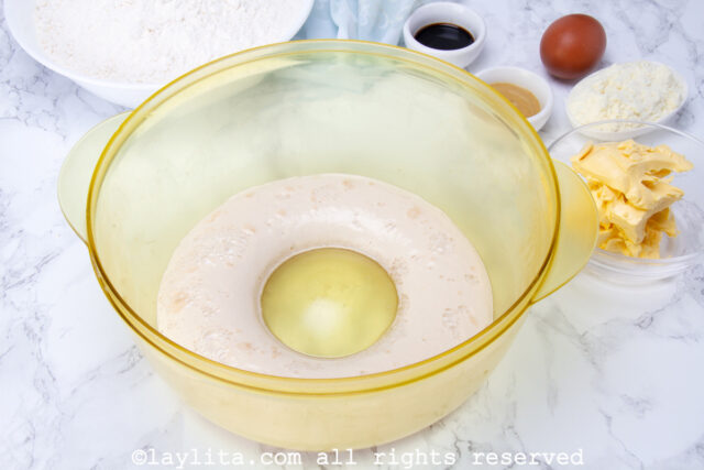 Activated yeast in a bowl.