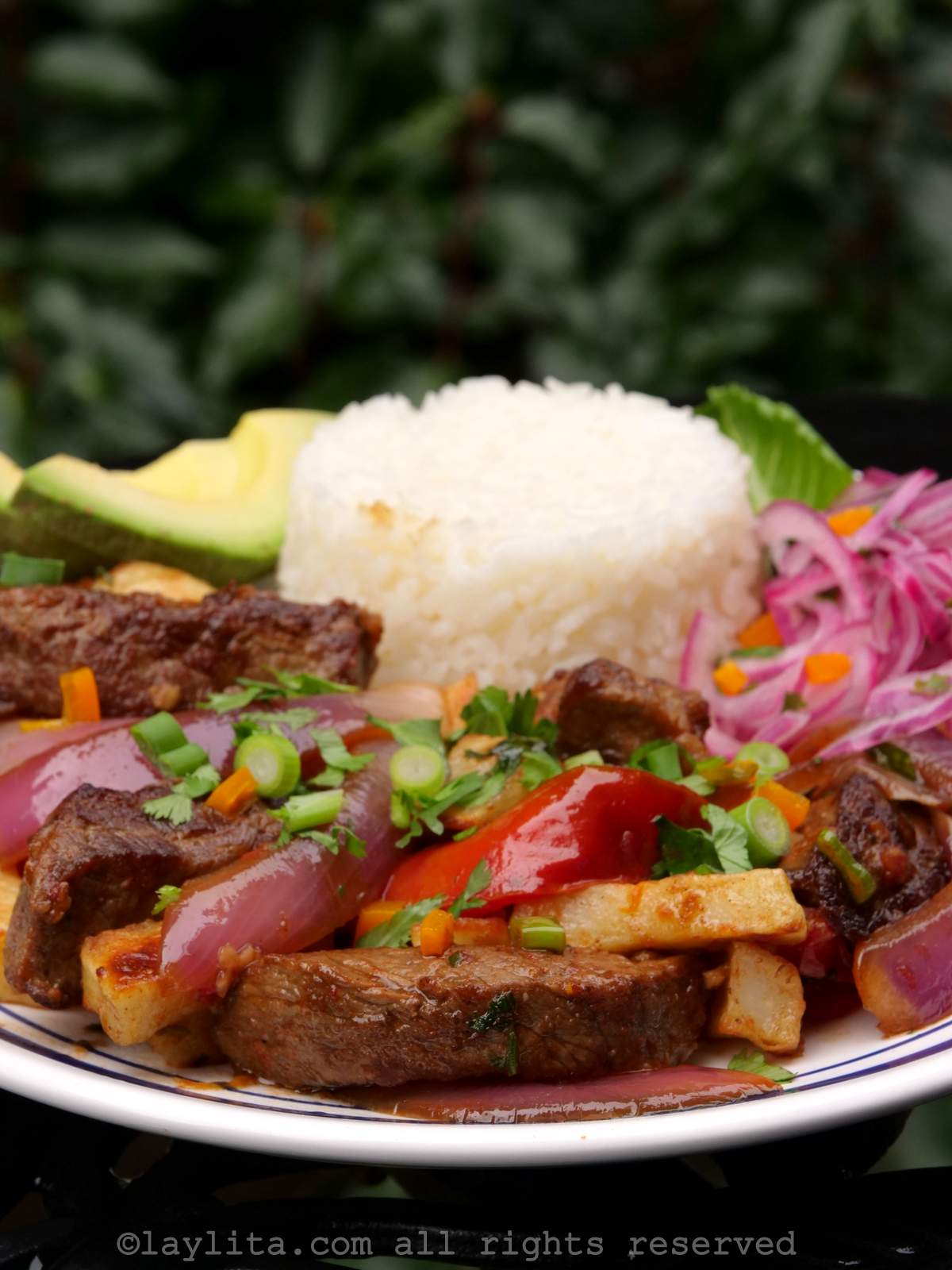 Lomo saltado served on a white plate on top of a bed of fries, with rice, onions and avocado.