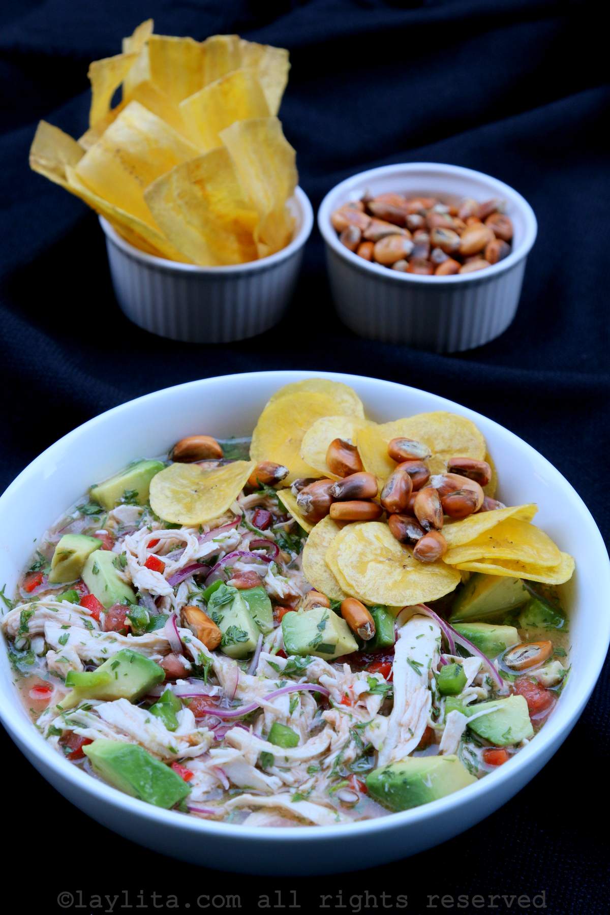 Ecuadorian chicken ceviche served in a white bowl with a side of chifles and tostado